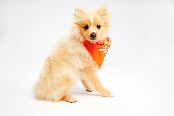 Puppy Bowl XXI Viewing Guide: Team Ruff/Team Fluff Rosters &#038; More!