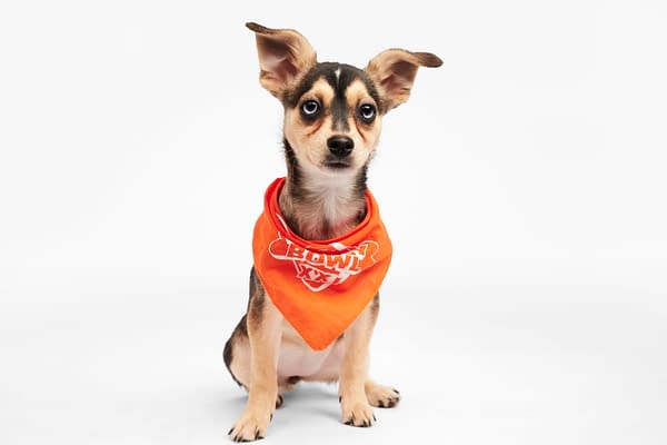 Puppy Bowl XXI Viewing Guide: Team Ruff/Team Fluff Rosters &#038; More!