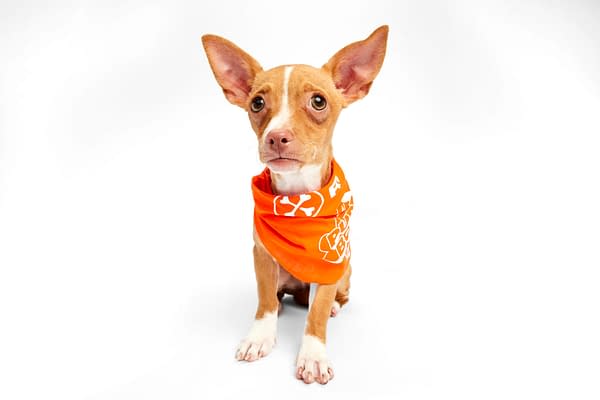 Puppy Bowl XXI Viewing Guide: Team Ruff/Team Fluff Rosters &#038; More!