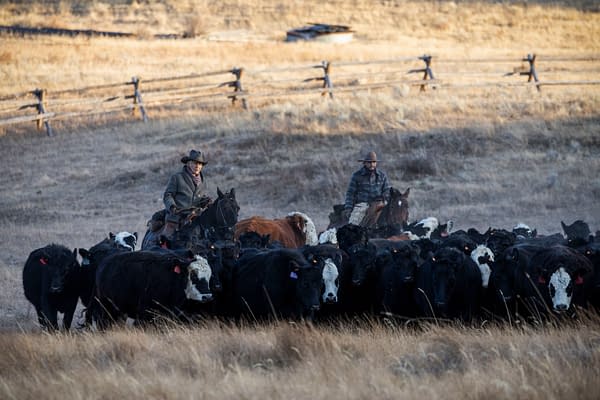 1923 Season 2: Yellowstone Prequel Returns with "The Killing Season"