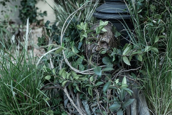 The Walking Dead: Daryl Dixon