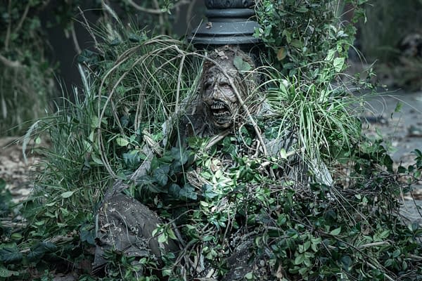 The Walking Dead: Daryl Dixon