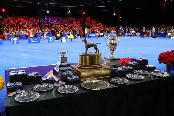 2025 National Dog Show Viewing Guide: Everything You Need to Know!