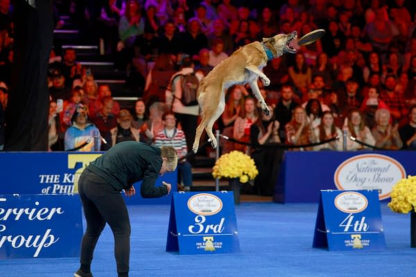 2025 National Dog Show Viewing Guide: Everything You Need to Know!