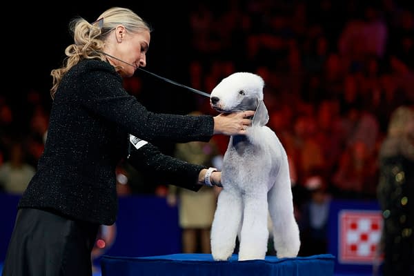2025 National Dog Show Viewing Guide: Everything You Need to Know!