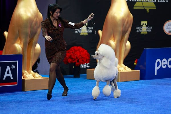 2025 National Dog Show Viewing Guide: Everything You Need to Know!