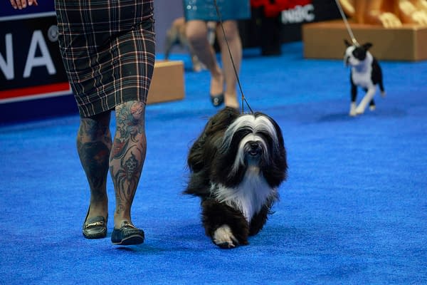 National Dog Show