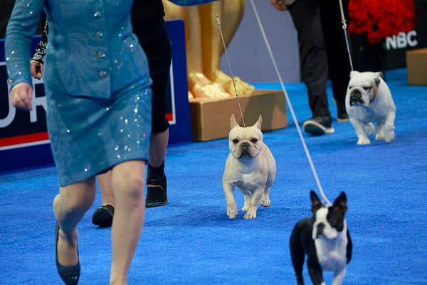 2025 National Dog Show Viewing Guide: Everything You Need to Know!