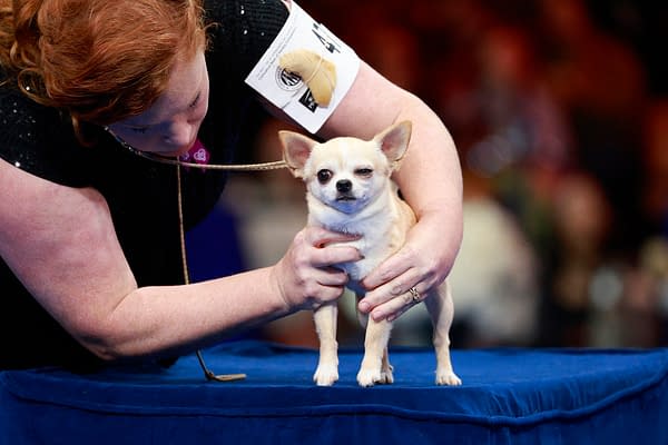 National Dog Show