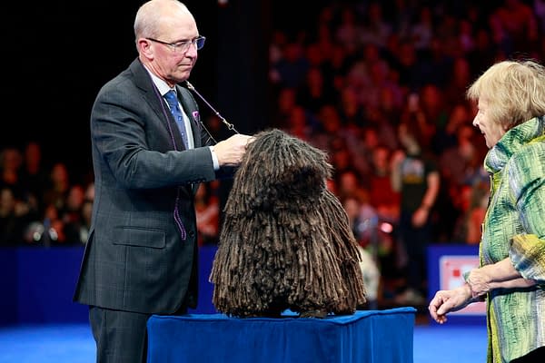 2025 National Dog Show Viewing Guide: Everything You Need to Know!