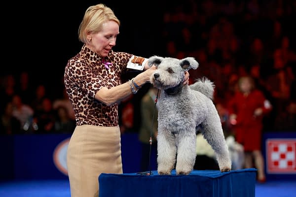 National Dog Show