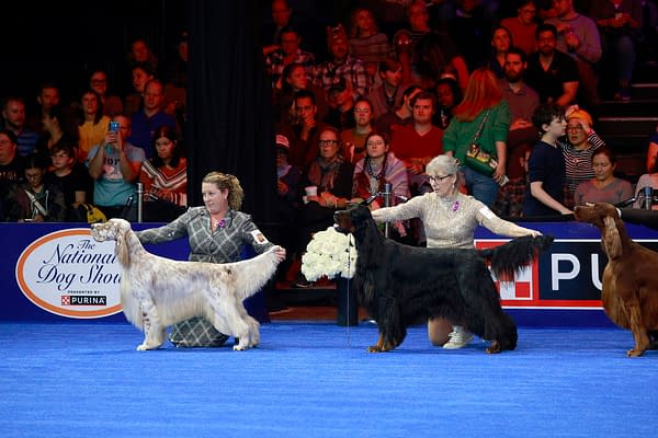 2025 National Dog Show Viewing Guide: Everything You Need to Know!