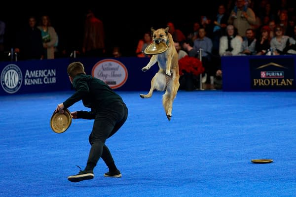 National Dog Show