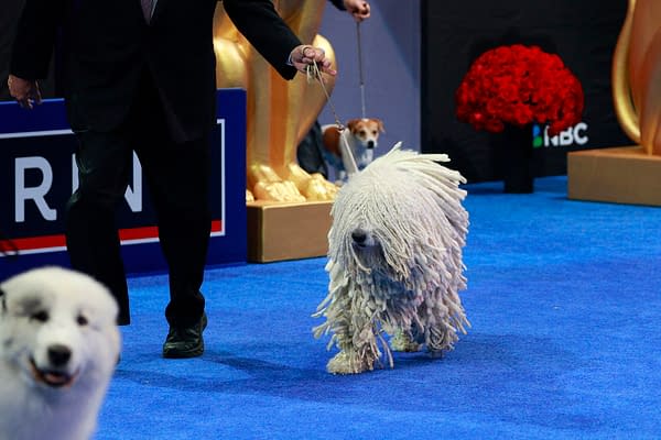 2025 National Dog Show Viewing Guide: Everything You Need to Know!