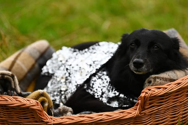 The Traitors Returns Tonight! Your Season 4 Premiere Viewing Guide