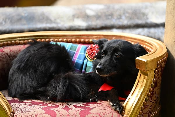 The Traitors Season 4: Here's Your S04E04 & S04E05 Viewing Guide!