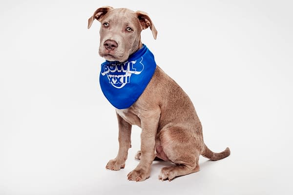 Puppy Bowl XXII Pregame Preview: Meet Team Fluff & Team Ruff!