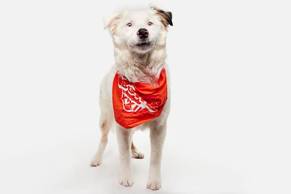 Puppy Bowl XXII Pregame Preview: Meet Team Fluff & Team Ruff!