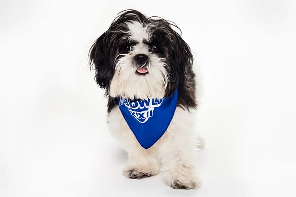 Puppy Bowl XXII Pregame Preview: Meet Team Fluff & Team Ruff!