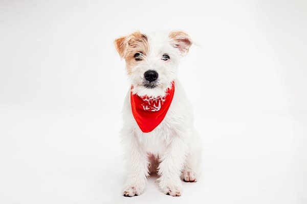 Puppy Bowl XXII Pregame Preview: Meet Team Fluff & Team Ruff!