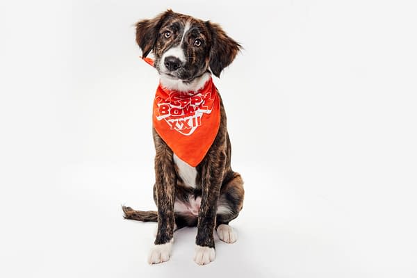 Puppy Bowl XXII Pregame Preview: Meet Team Fluff & Team Ruff!