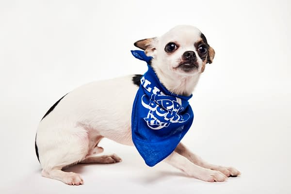 Puppy Bowl XXII Pregame Preview: Meet Team Fluff & Team Ruff!