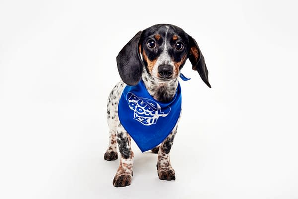 Puppy Bowl XXII Pregame Preview: Meet Team Fluff & Team Ruff!