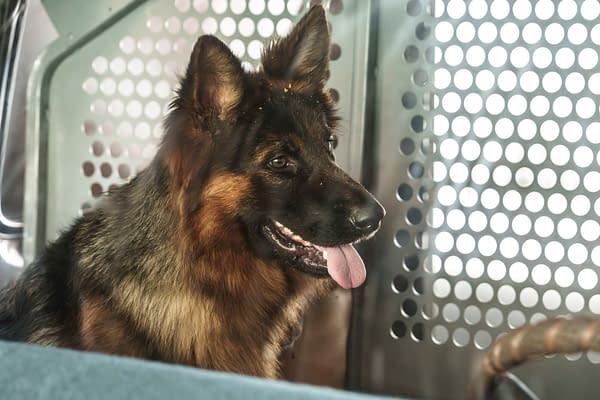 NCIS: Origins S02E13 Sneak Peeks/Images; S02E14 Overview/Images