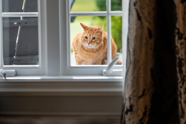 The Fall and Rise of Reggie Dinkins: Our S01E04 "Save the Cat" Preview