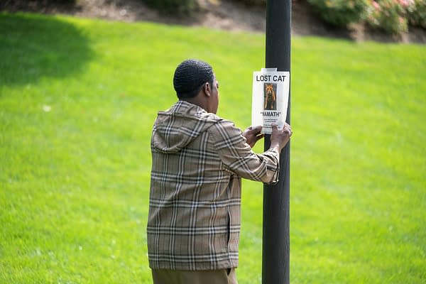 The Fall and Rise of Reggie Dinkins: Our S01E04 "Save the Cat" Preview