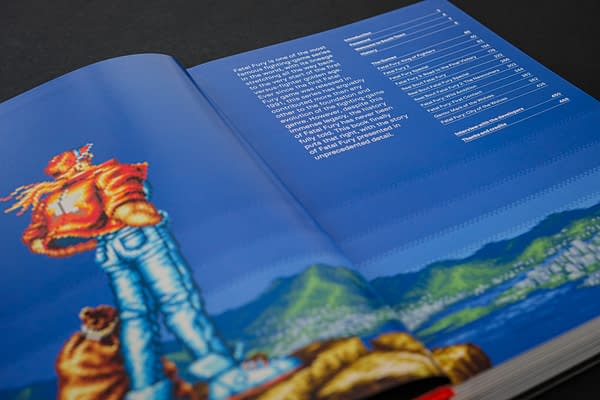 Fatal Fury/Garou Densetsu: The Ultimate History Book Released