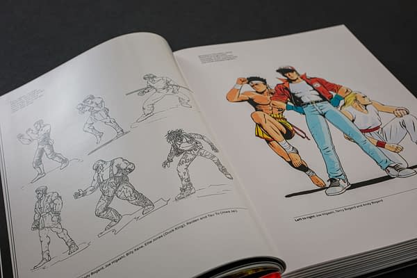 Fatal Fury/Garou Densetsu: The Ultimate History Book Released