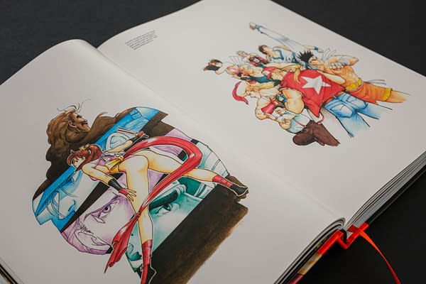 Fatal Fury/Garou Densetsu: The Ultimate History Book Released