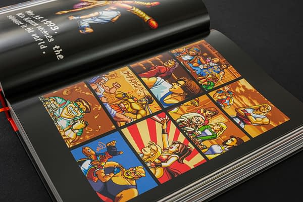 Fatal Fury/Garou Densetsu: The Ultimate History Book Released