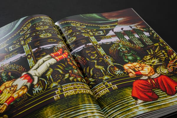 Fatal Fury/Garou Densetsu: The Ultimate History Book Released