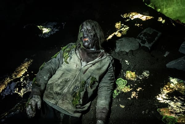 The Walking Dead: Daryl Dixon Shares New Season 2 Finale/BTS Images