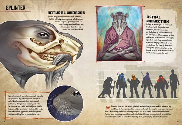 Teenage Mutant Ninja Turtles: Anatomy of a Mutant Arrives August 2026