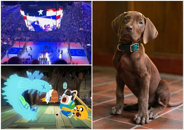 Adventure Time, Scooby-Doo, Trump/Knicks & More: BCTV Daily Dispatch