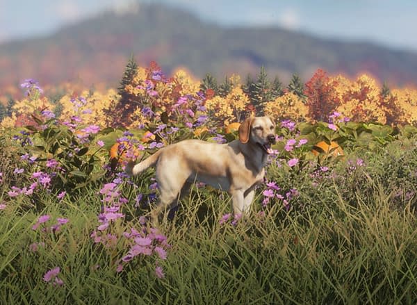 TheHunter: Call Of The Wild Reveals Labrador Retriever DLC