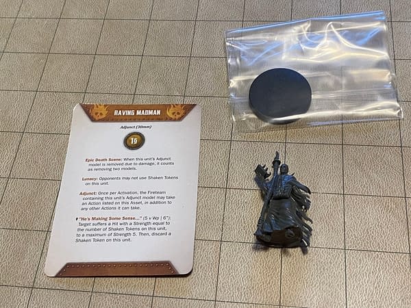 An array of contents from the Raving Madman box by Wyrd Miniatures.