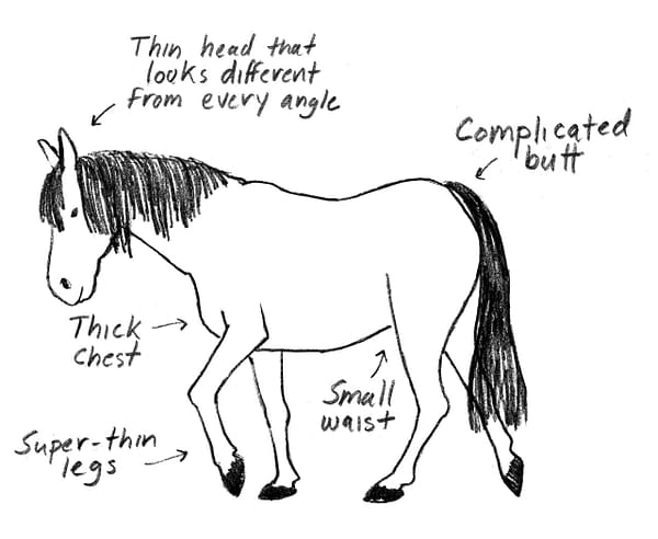 How To Draw A Horse's Emma Hunsinger's Graphic Novel, How It All Ends