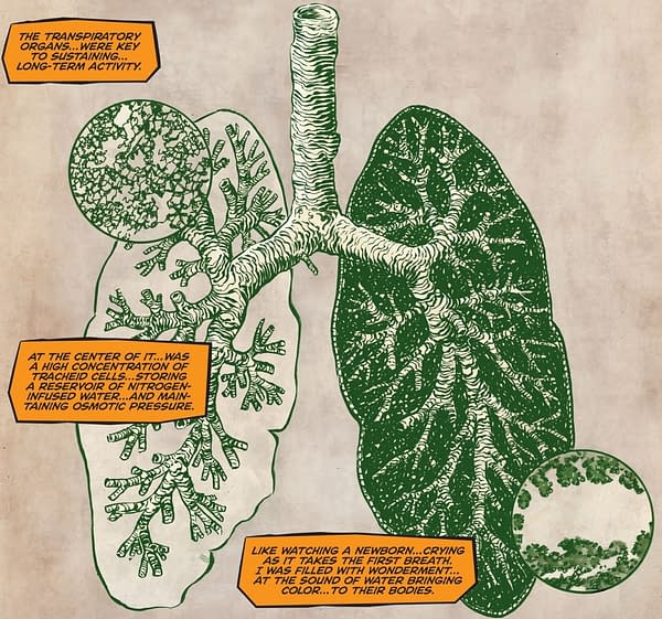 Future State Swamp Thing Rewrites The New Anatomy Lesson