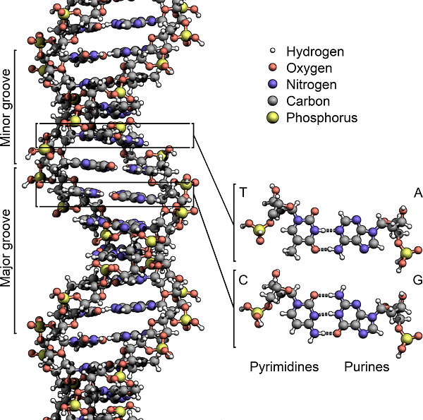 Laura Perlmutter's Lawsuit, Alleging Stolen DNA, Can Continue