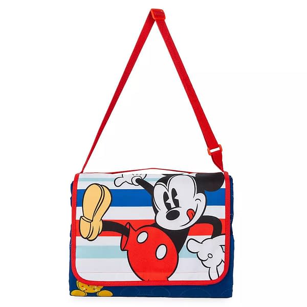 5 of the Cutest Disney Picnic Items for the Summer!