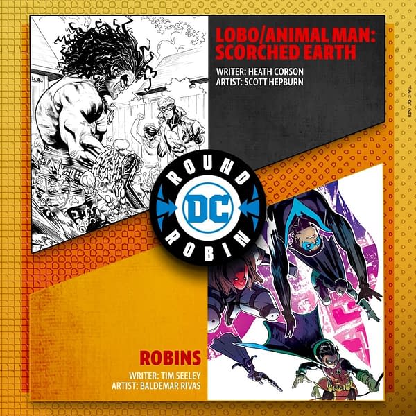 Creator Details For DC Round Robin Announced Along With 8 Contenders