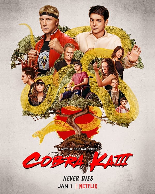 Cobra Kai released a season 3 poster. (Image: Netflix)