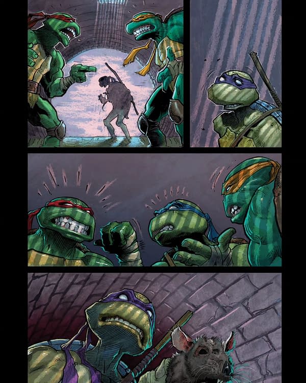 Juan Ferreyra's Teenage Mutant Ninja Turtles- IDW January 2025 Solicits