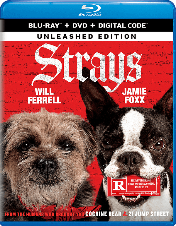 Strays: Streams To Peacock On Oct. 6, Blu-ray™ and DVD on Oct. 10