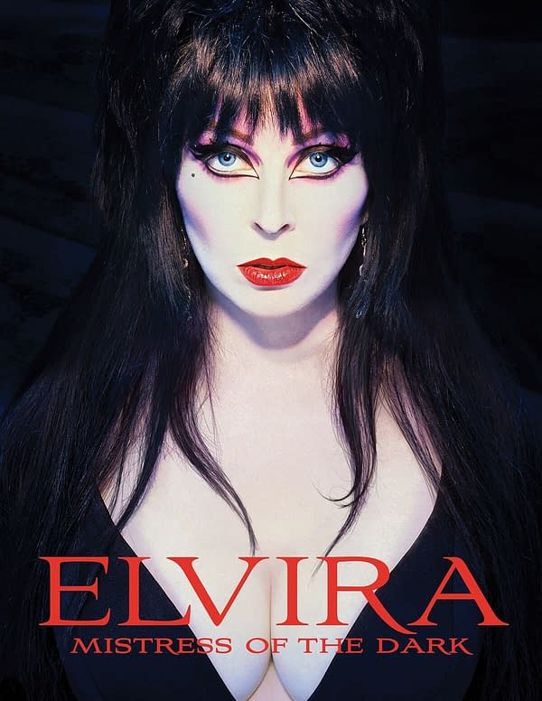 Wanna Buy Elvira Mistress of the Dark's Dress AND Wig at Auction?