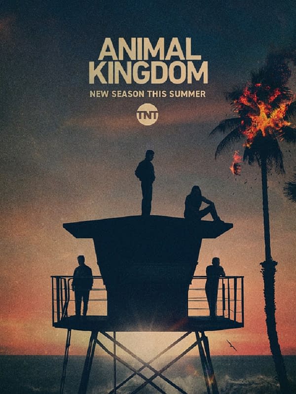 Animal Kingdom Season 6 will be its last. (Image: TNT)